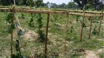 Murshidabad Agriculture