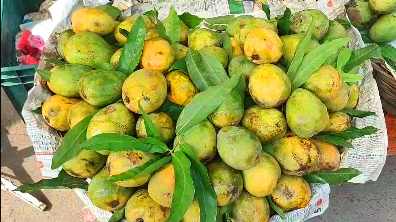 Murshidabad-Mango-Price