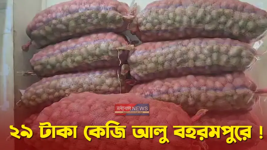 Murshidabad Potato Market