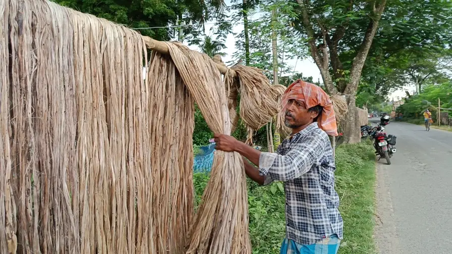 Murshidabad Jute Farmers