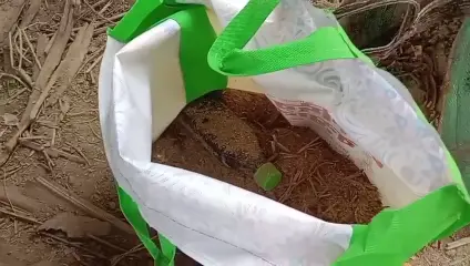 Bomb Recovered