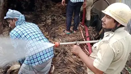 Beldanga News