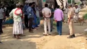 Kandi Sand Miscreant